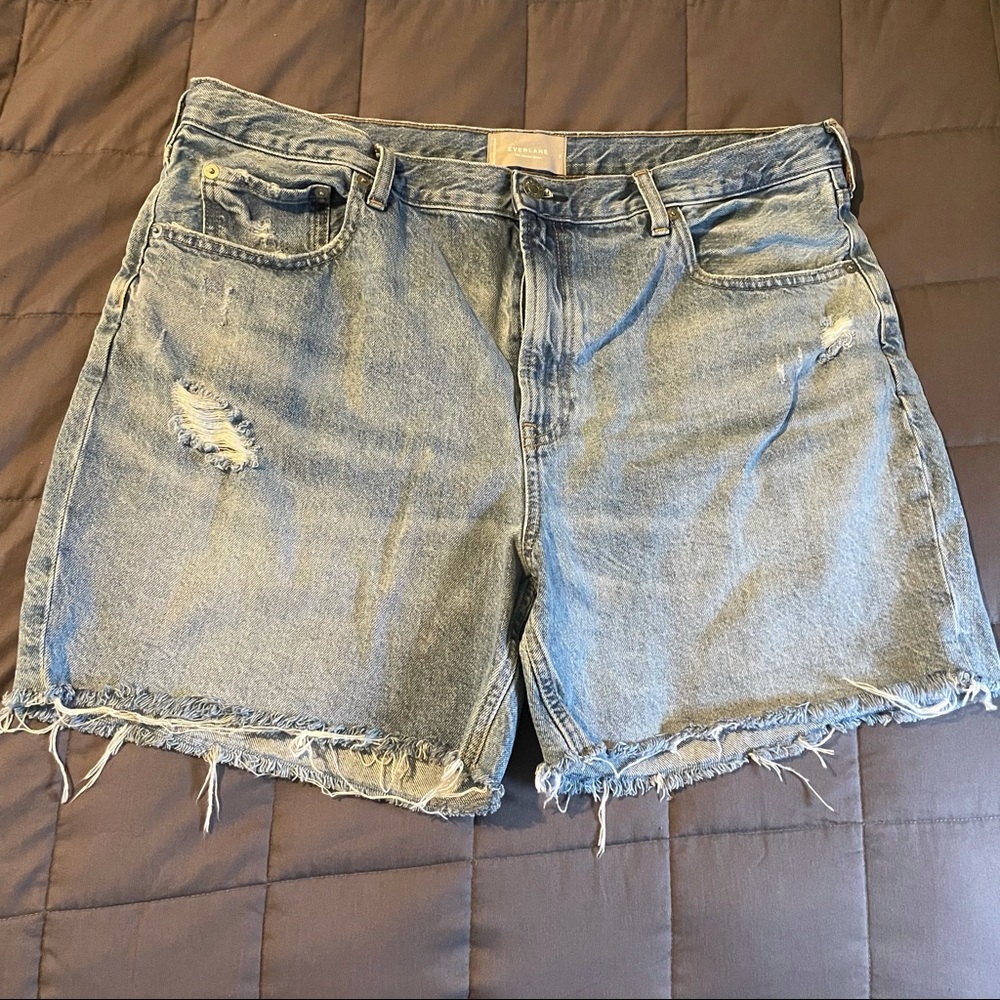Everlane distressed jean short sz 33